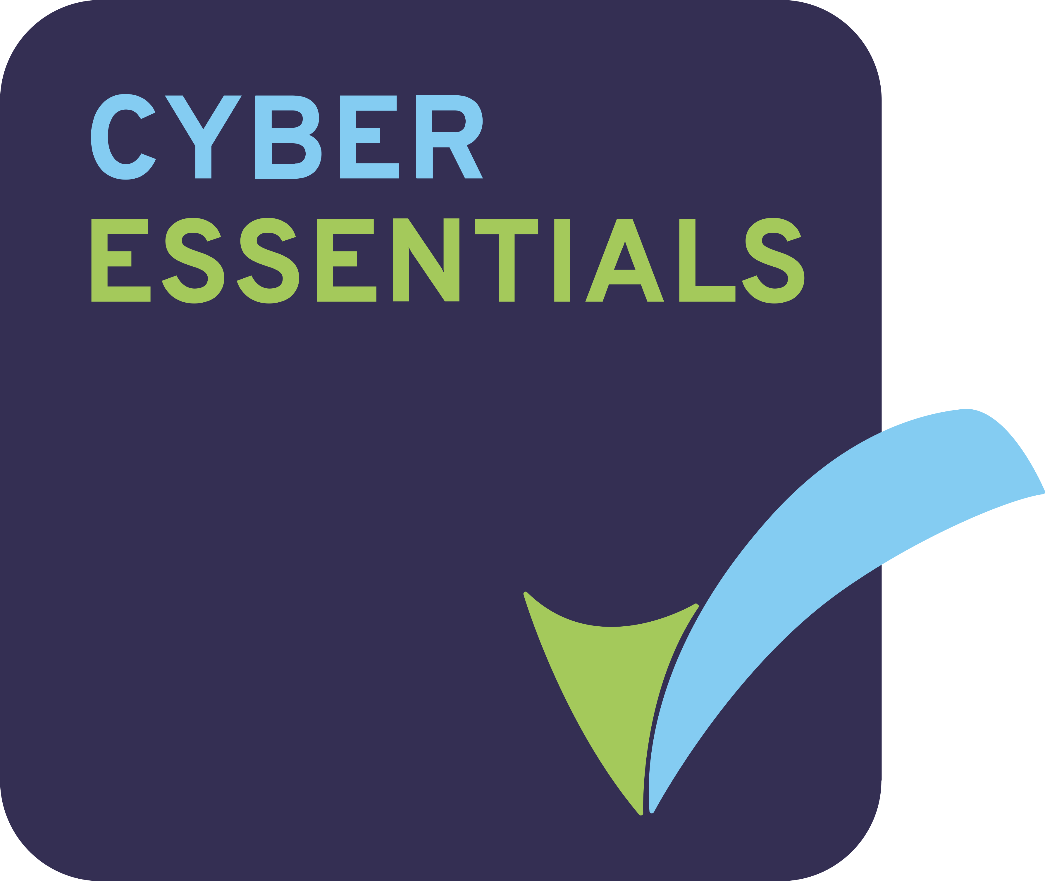 Cyber essentials logo