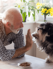 Animal_will_article