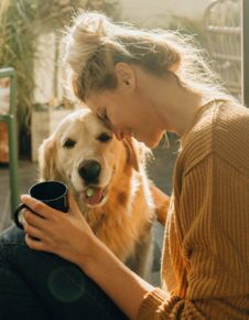 dog_article