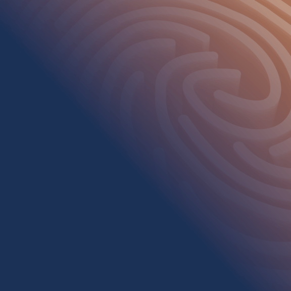 Legal Maze Gradient 2024